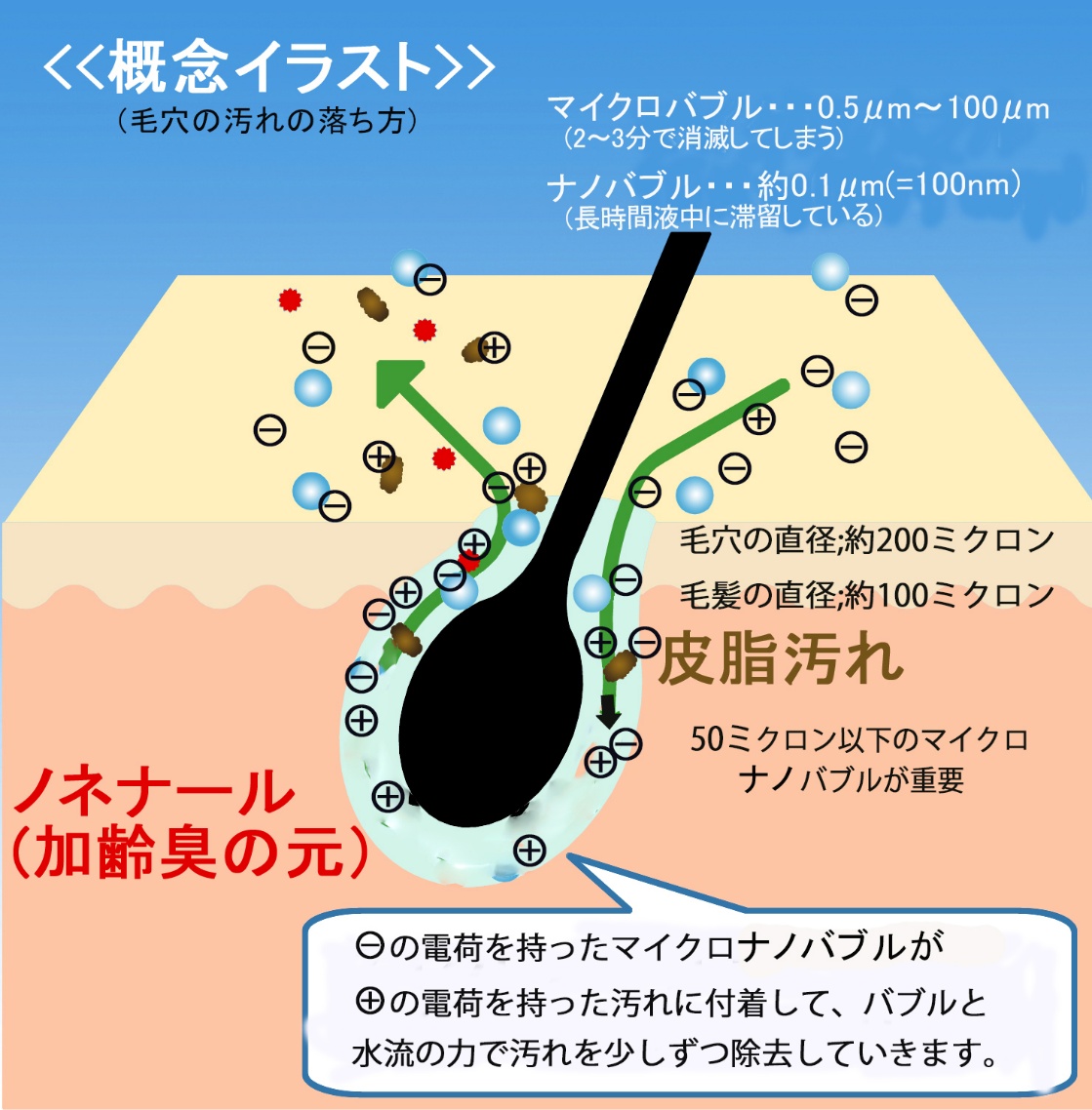 マイクロナノバブルで毛穴の汚れが落ちる仕組みの概念イラスト